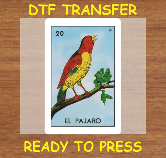 "El Pajaro DTF Transfer featuring a colorful bird on a branch"
