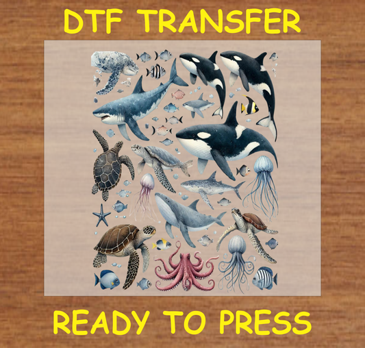 DTF Transfer Ocean Creatures Design with Whales, Sharks, and Sea Turtles, Ready to Press